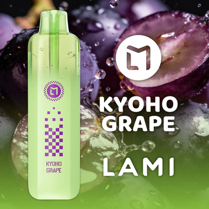 徕爆 LAMI