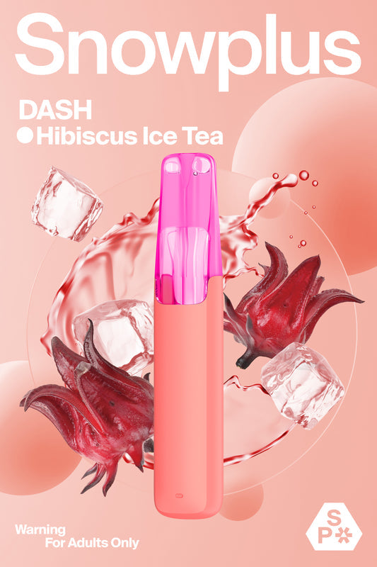 SNOWPLUS DASH 4000 Prefilled Vape