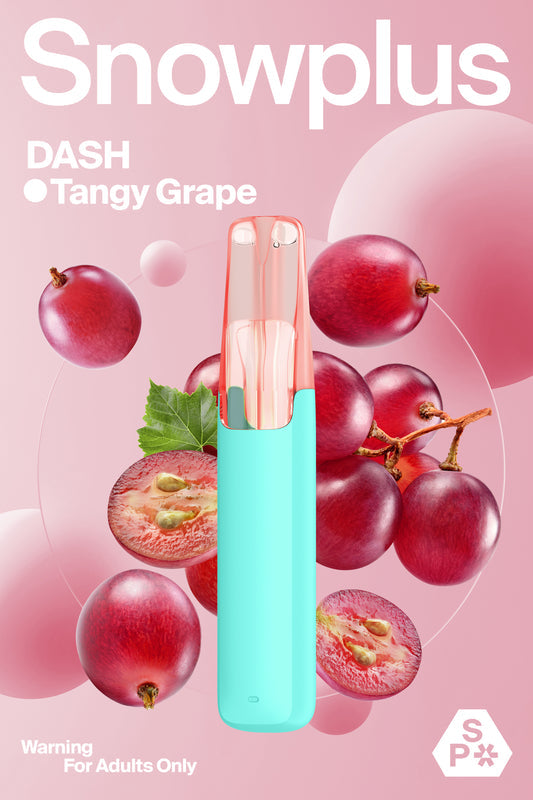 SNOWPLUS DASH 4000 Prefilled Vape