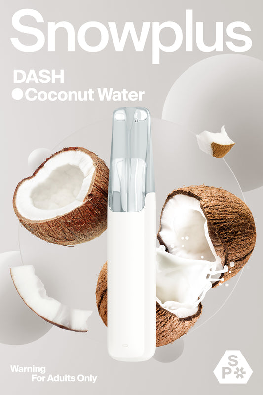 SNOWPLUS DASH 4000 Prefilled Vape