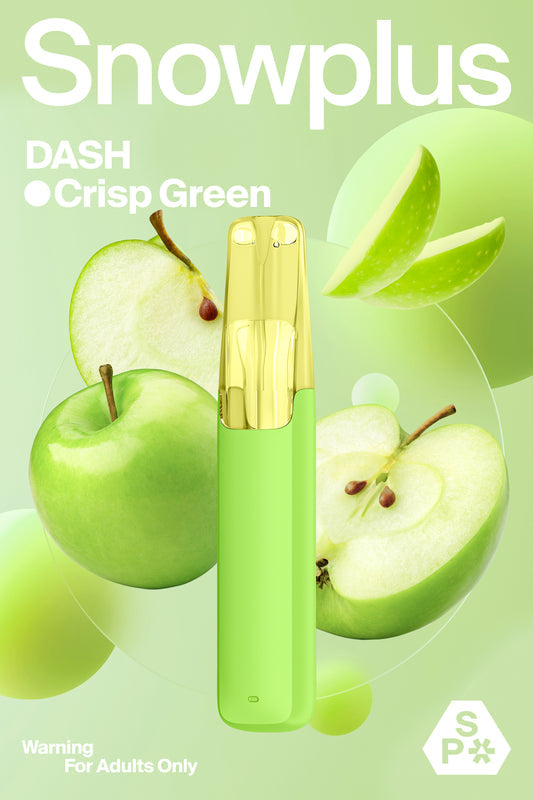 SNOWPLUS DASH 4000 Prefilled Vape
