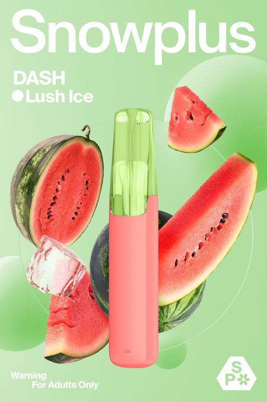 SNOWPLUS DASH 4000 Prefilled Vape