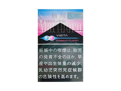 日韩口粮烤烟（单包）